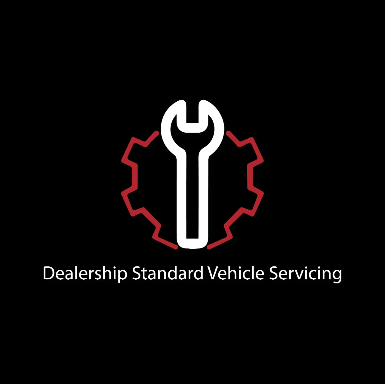 Dealership Standard Vehicle Servicing